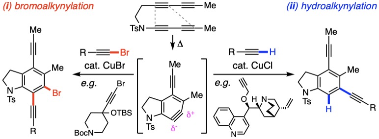A diagram of chemical formulasDescription automatically generated